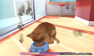 Cats & Dogs 3D: Твой Виртуальный Питомец на 3DS!