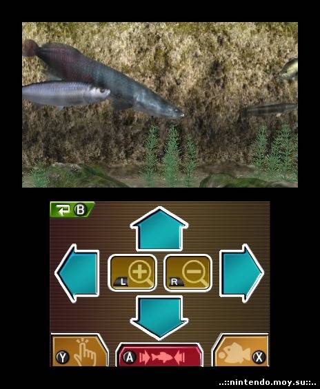 Reel Fishing 3D: Лучший Симулятор Рыбалки на Nintendo 3DS