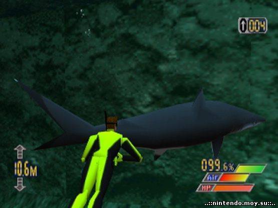 Diver's Dream: Подводные Приключения, Которые Мы Помним!