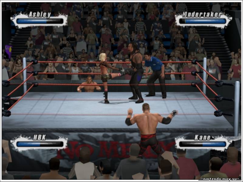 WWE SmackDown Vs. Raw 2009: Стань звездой рестлинга!