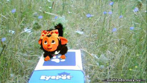 EyePet: Ваш лучший друг на PSP (2010, Европа)