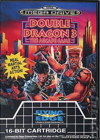 Double Dragon 3 (русская версия)