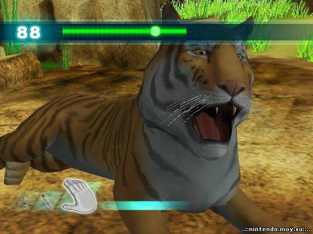 Animal Planet: Vet Life (Wii) – Истинная Магия Nintendo в Мире Животных