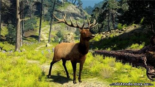 Cabela's Big Game Hunter 2010: Новый Уровень Реализма в Охотничьих Симуляторах