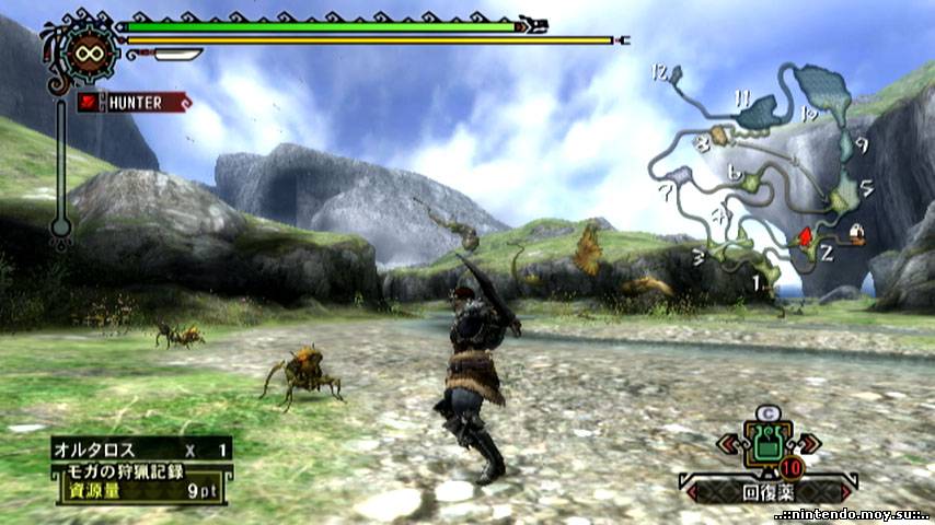 Monster Hunter 3 Tri на Wii: Погружение в Мир Охоты 2010 Года