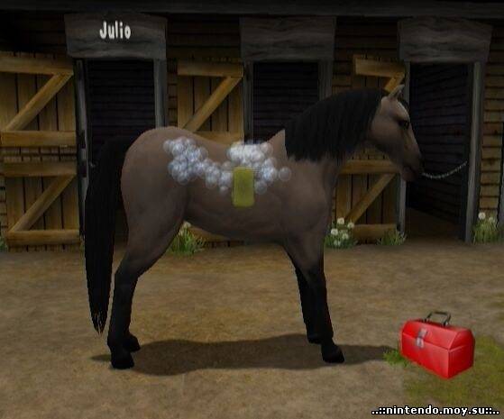 Pony Friends 2: Вернитесь в мир дружбы с пони на Wii!